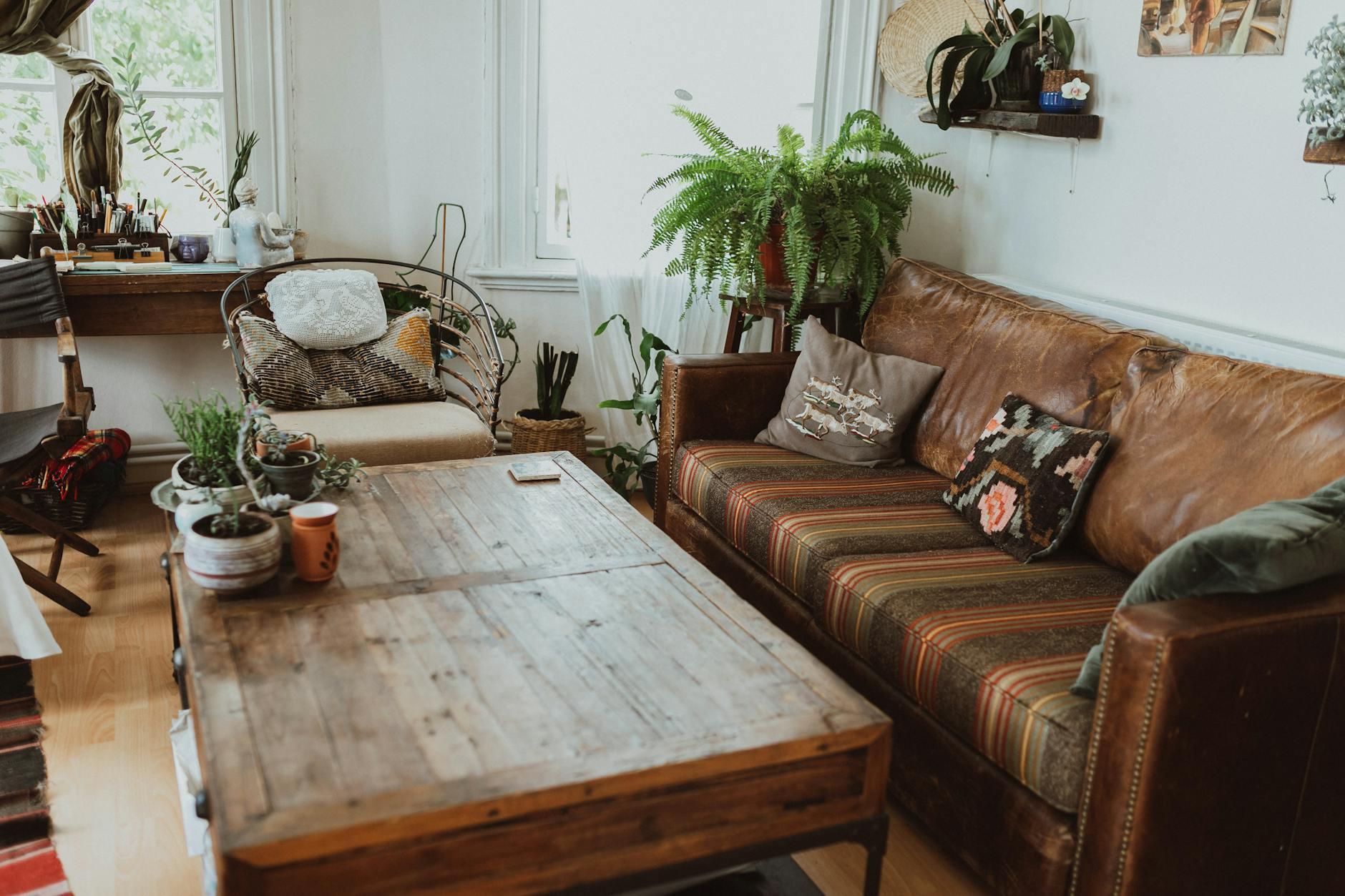 bohemian chic living room with natural light and plants