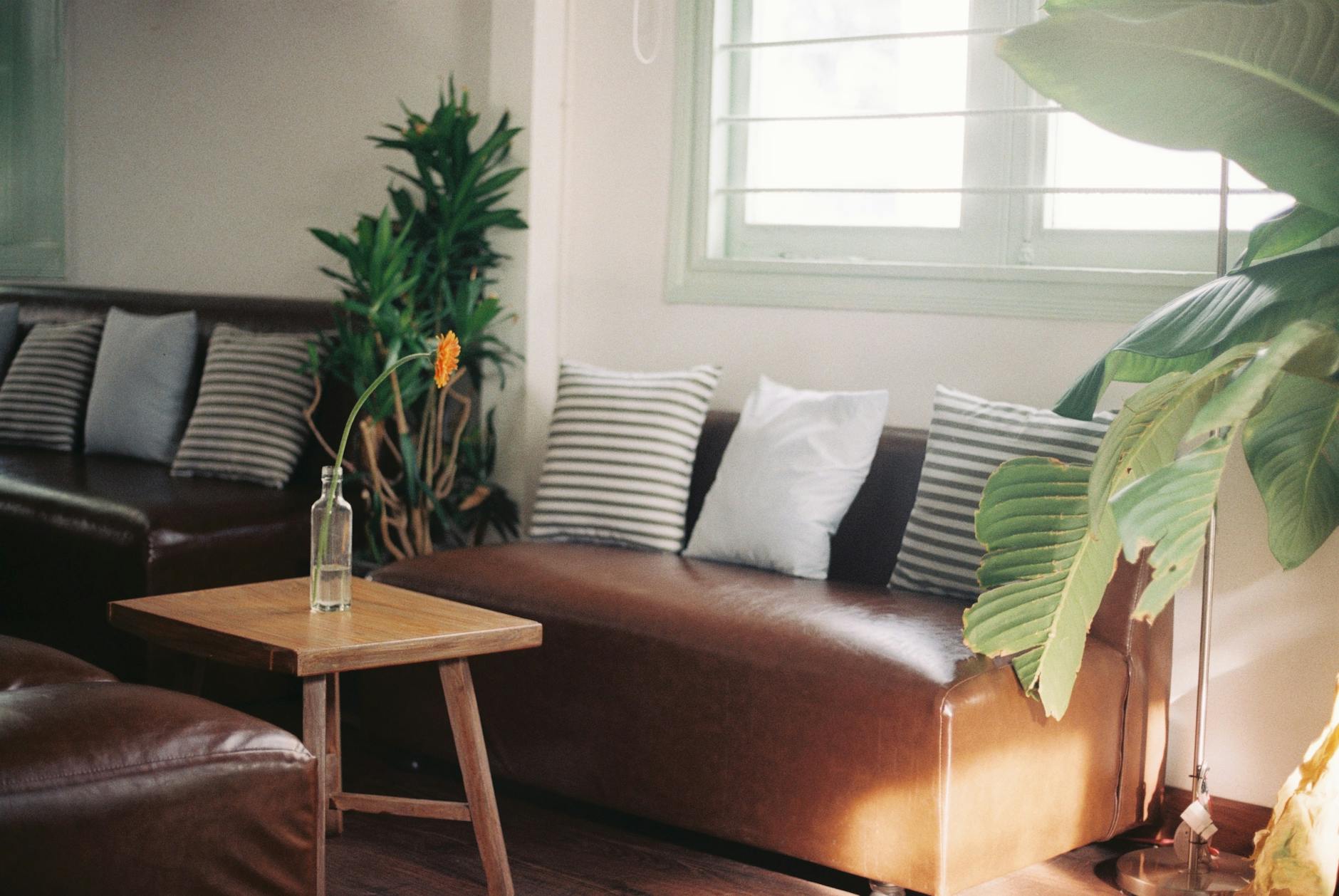modern living room interior, comfortable sofa, natural light, warm colors