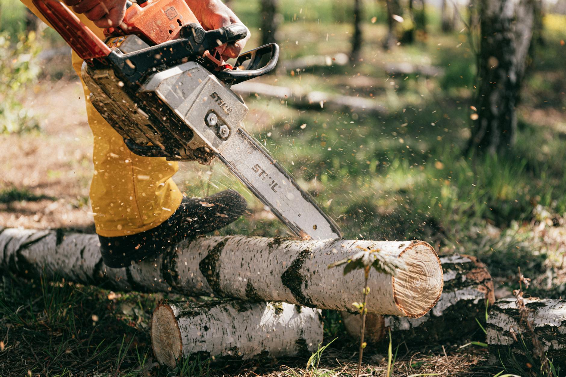 person in safety gear pruning tree branch with saw