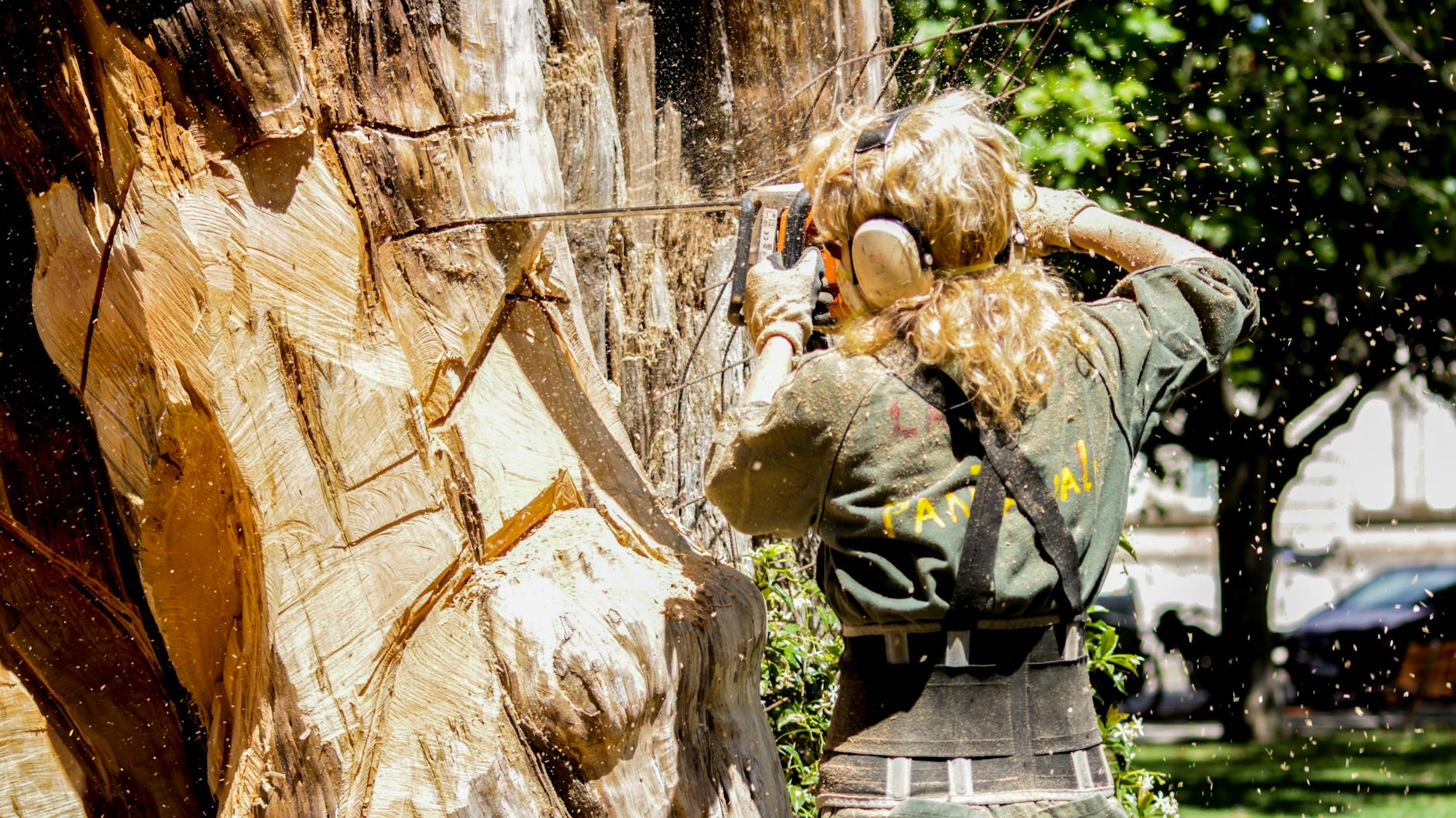professional arborist pruning tall tree