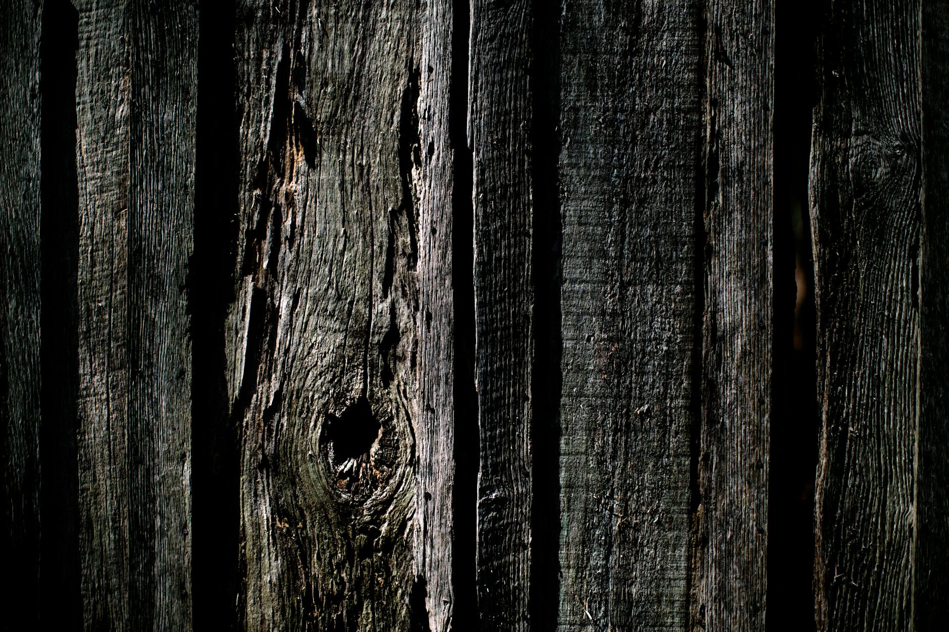 close up of wooden beam with small holes from woodworms