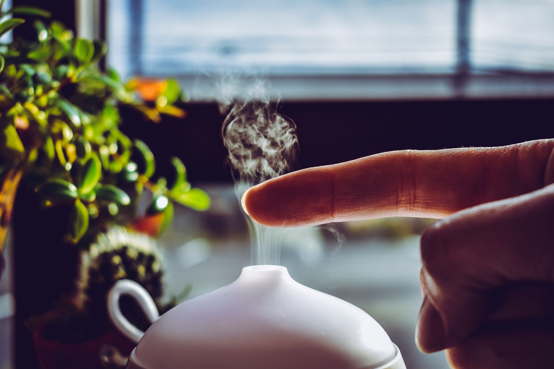 essential oil diffuser with natural elements