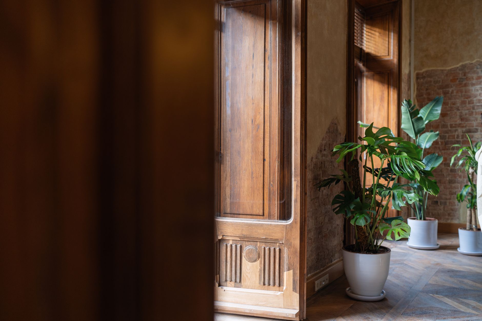 living room plants interior design