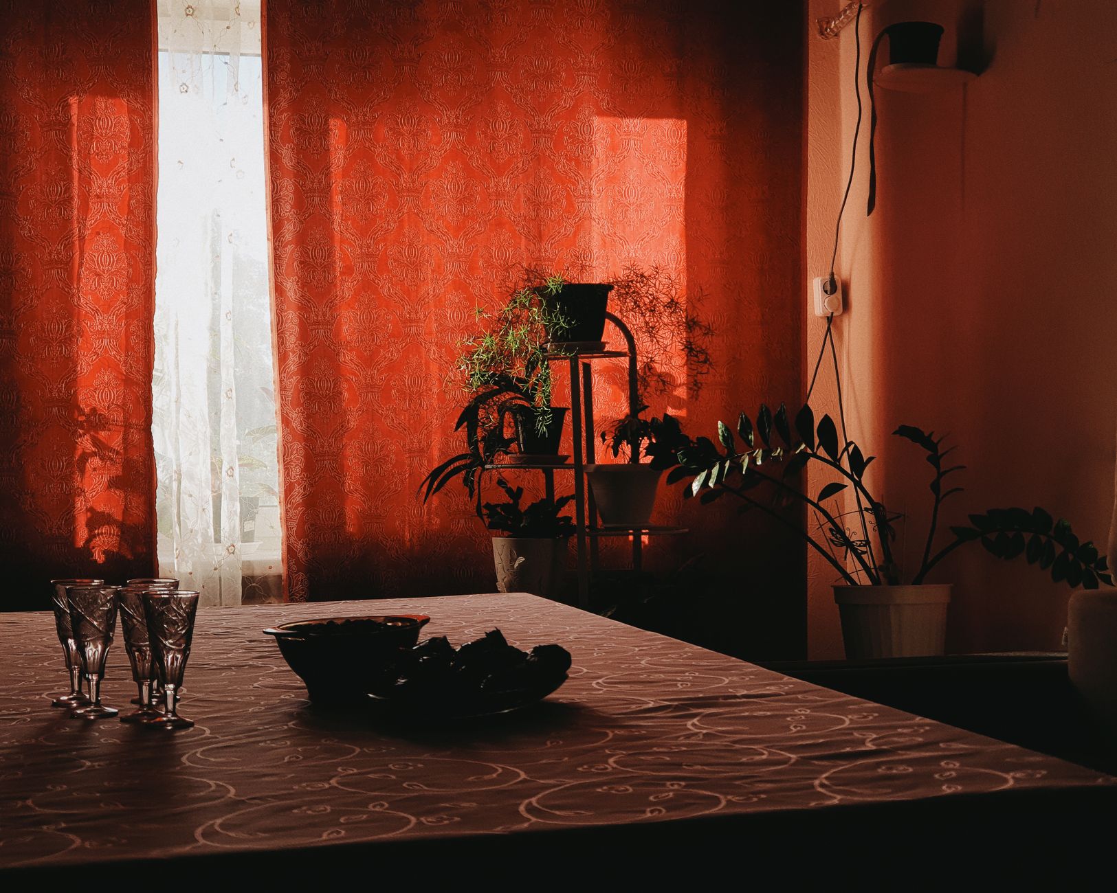 low light indoor plants living room